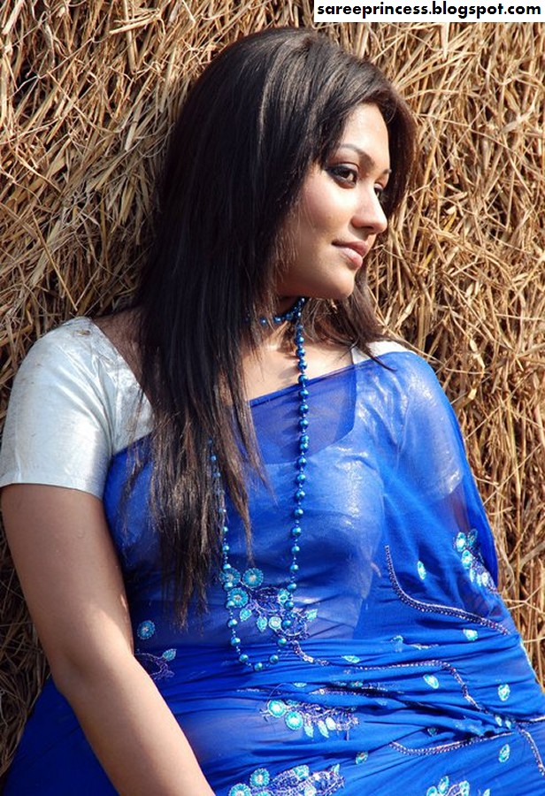 Mixed Saree Shots From Indian And Bangladeshi Actresses-8489
