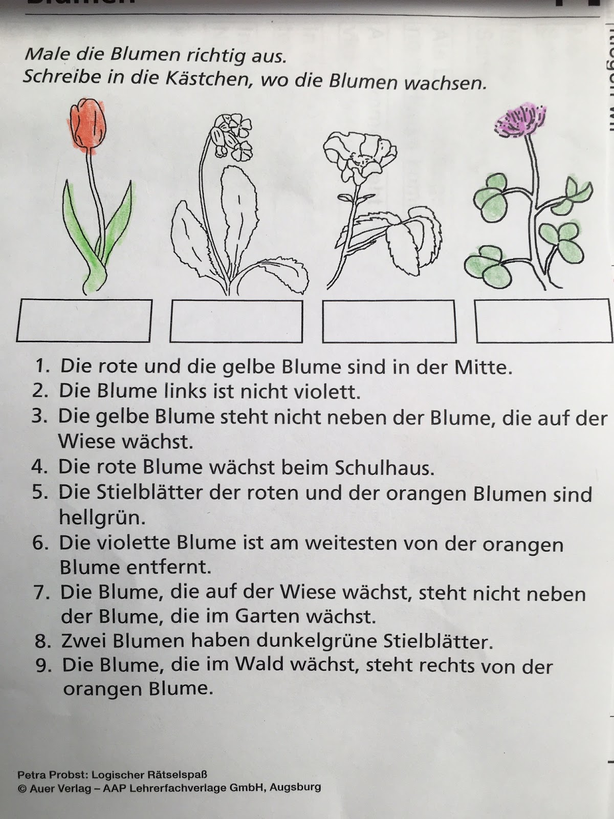 rätsel blumen