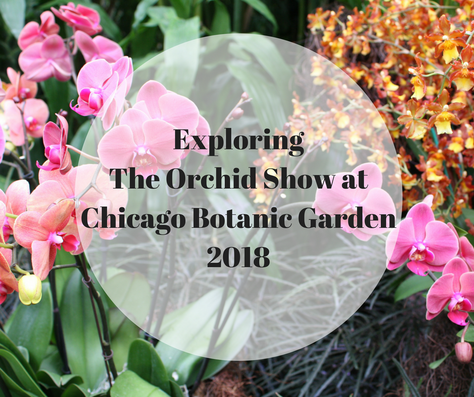 A Little Time And A Keyboard Scenes From The Orchid Show At