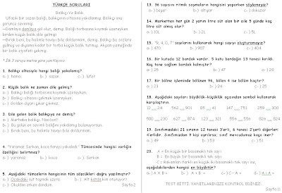 5 sınıf türkçe deneme sınavı pdf