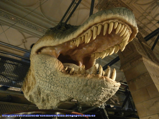 Sala de los dinosaurios del Museo de Historia Natural de Londres.