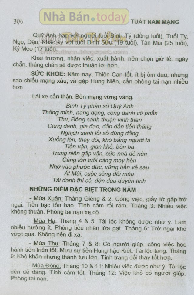 BÍNH TÝ NĂM 2015