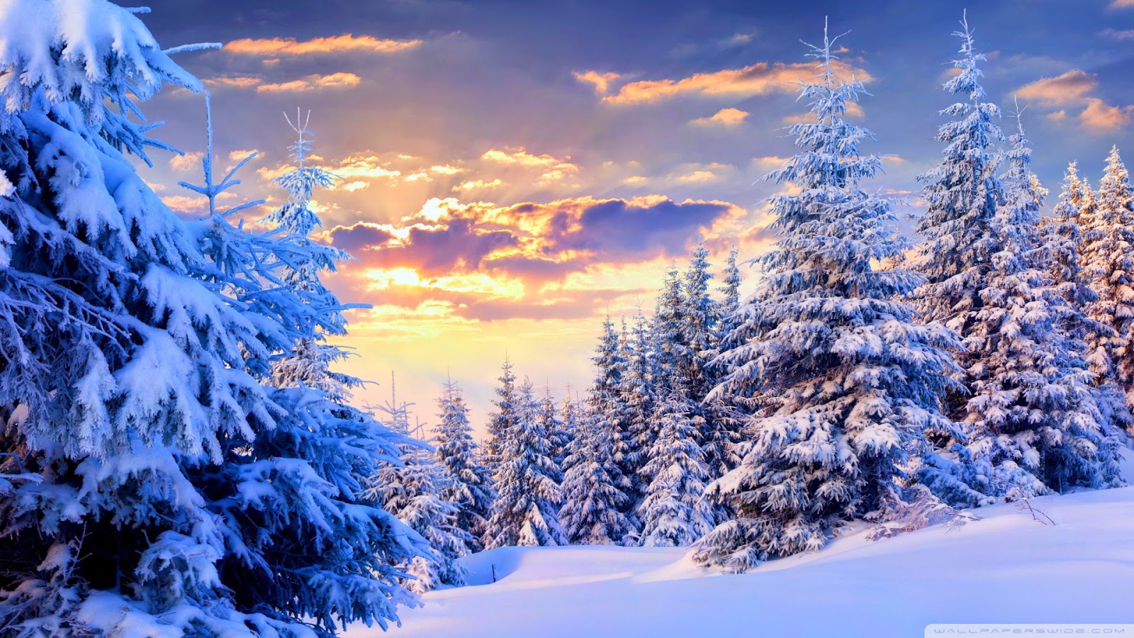 snow, snow wallpapers, snowy wallpapers, wallpapers, snow mountains, snow fall wallpapers, nature wallpapers, winter wallpapers, winter, winter season wallpapers, pc wallpapers, desktop backgrounds, backgrounds, hd backgrounds, 