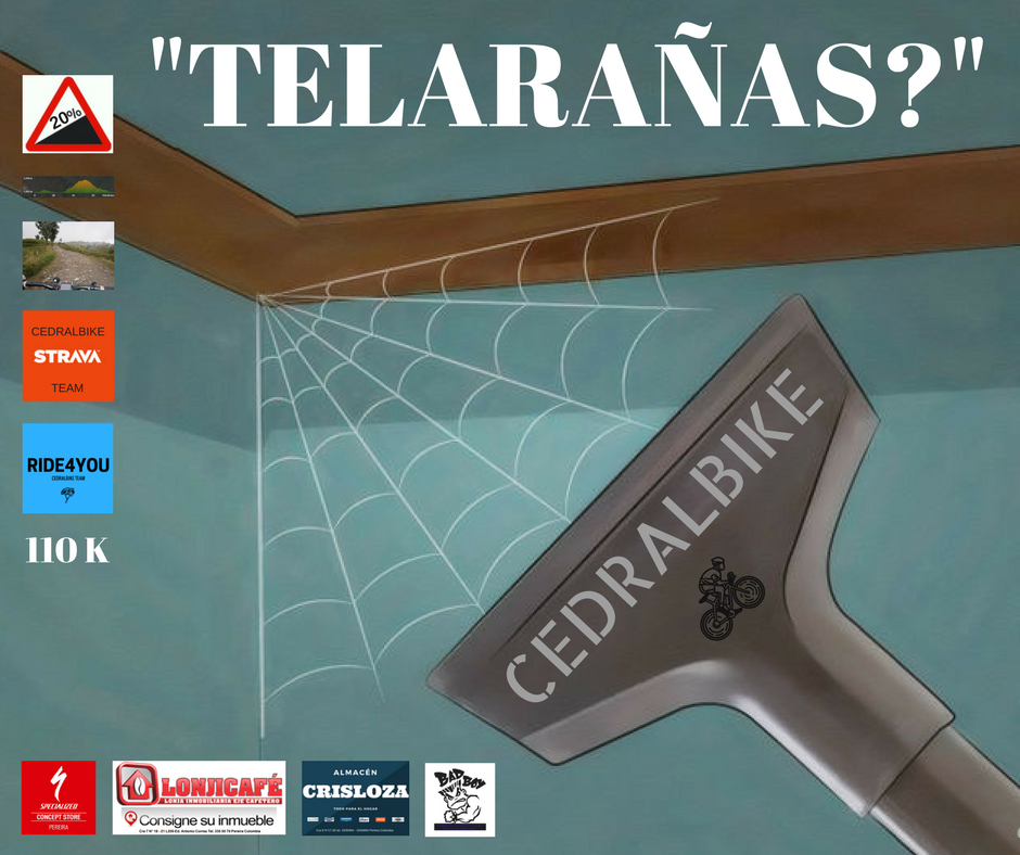 La Ruta de la Telaraña