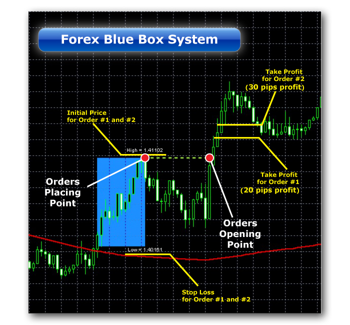 Forex binary options trading system omni11