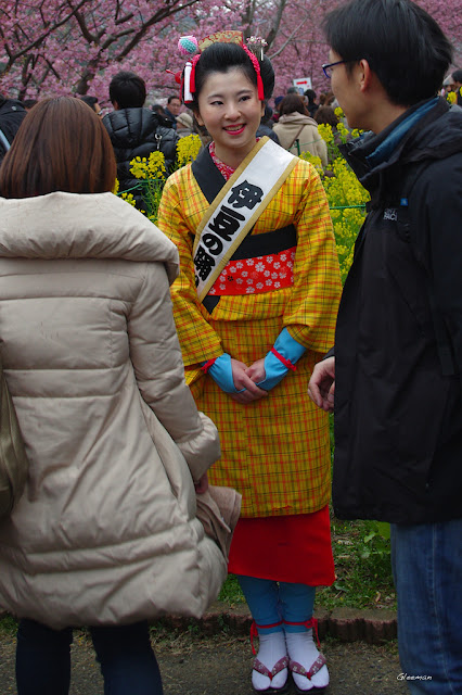 伊豆・河津櫻祭