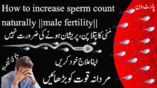   how to increase sperm count in hindi, sperm increase medicine in ayurvedic, increase sperm count very fast, sperm increase food list, sperm details in hindi, sperm knowledge in hindi, shukranu badhane ke tarike in hindi, meaning of sperm donor in hindi, sperm in hindi meaning