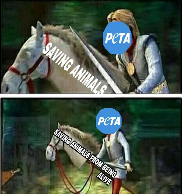 save the animals save the animals