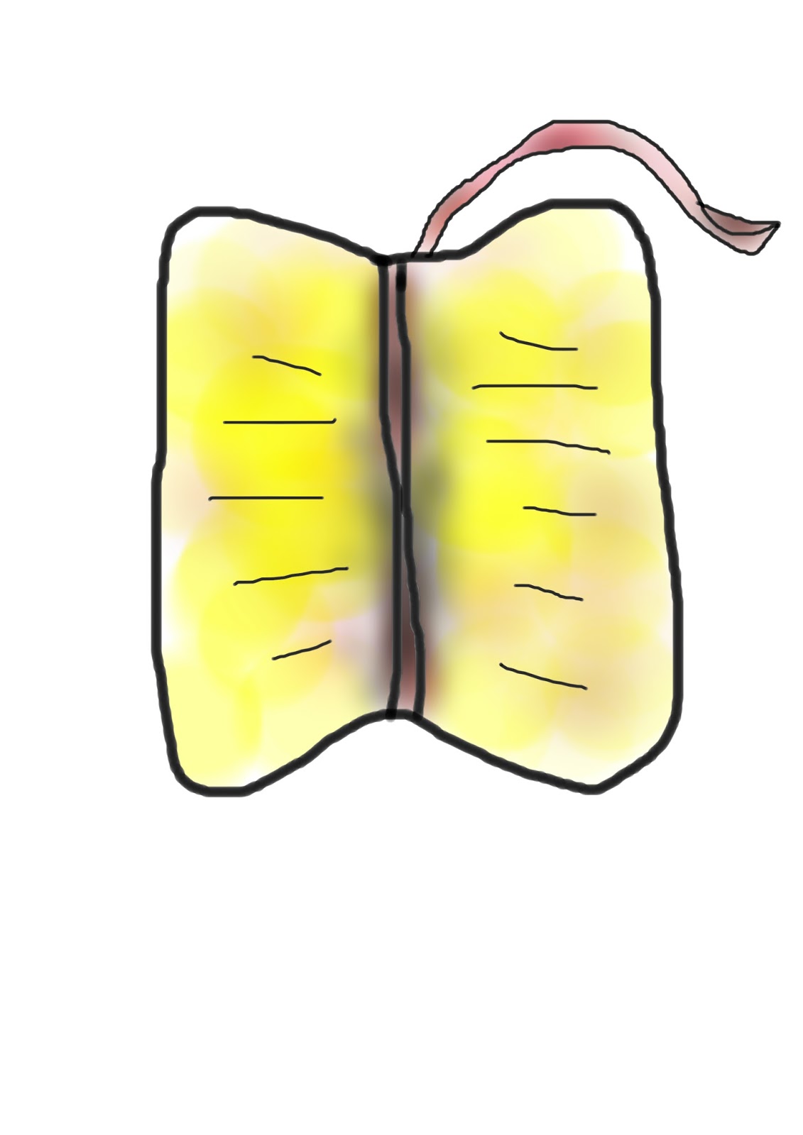 Closed Minded Wong Nyasar