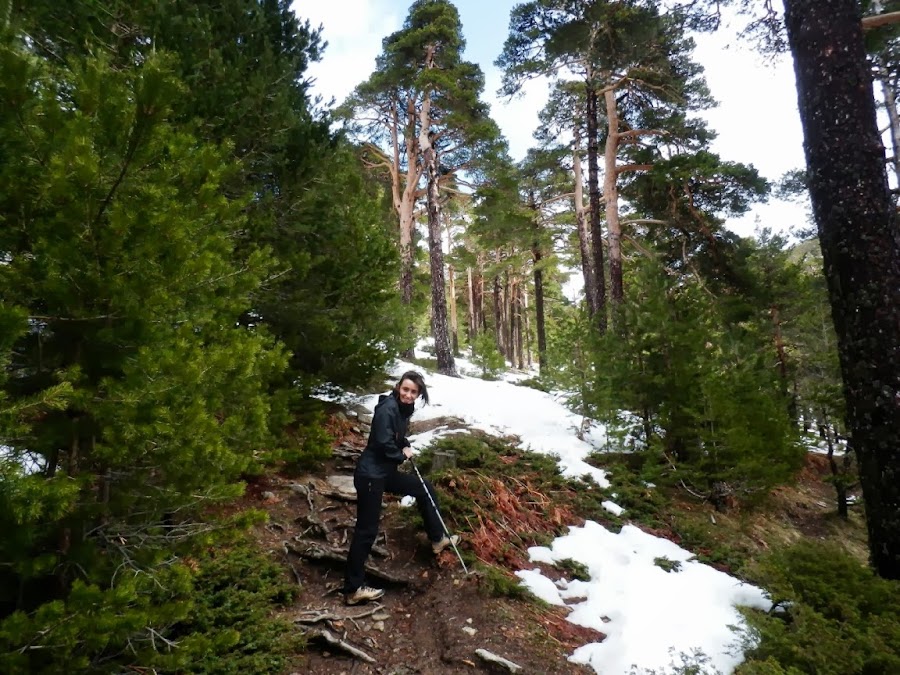 Una-subida-de-la-ruta-del-Camino-Schmidt-en-la-Sierra-de-Guadarrama