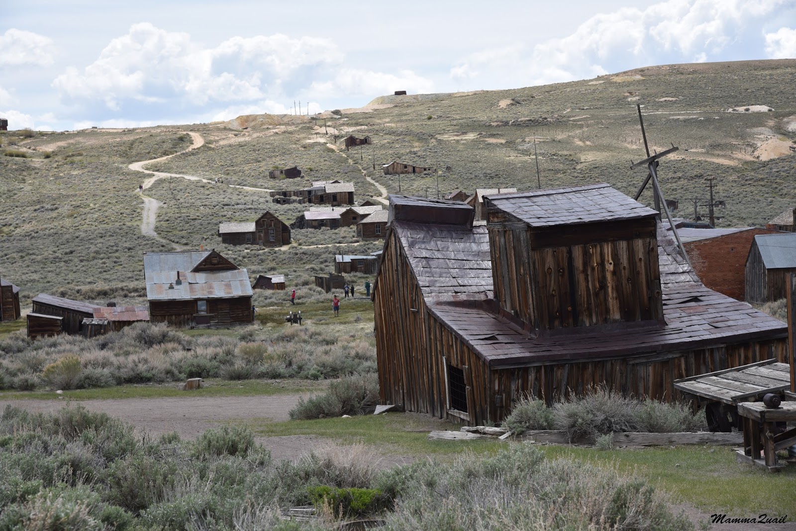 Mamma Quail Hiking California A Living Ghost Town Bodie, CA