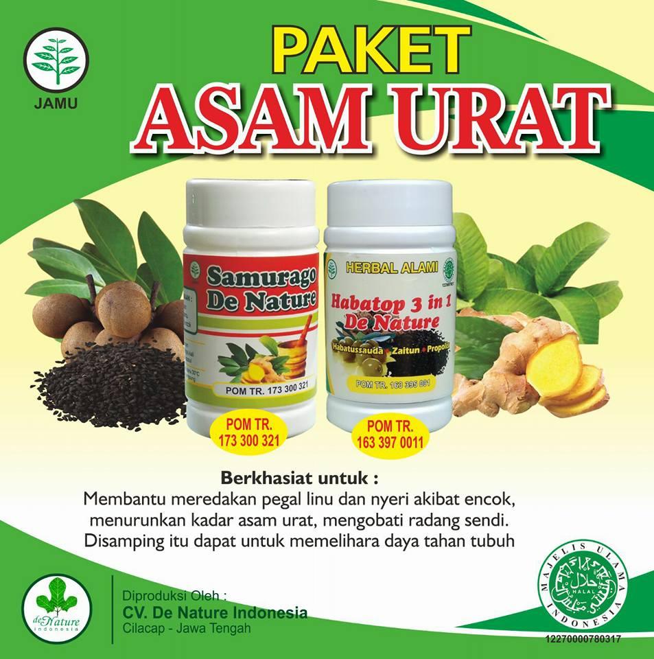 Obat Asam Urat Herbal de Nature