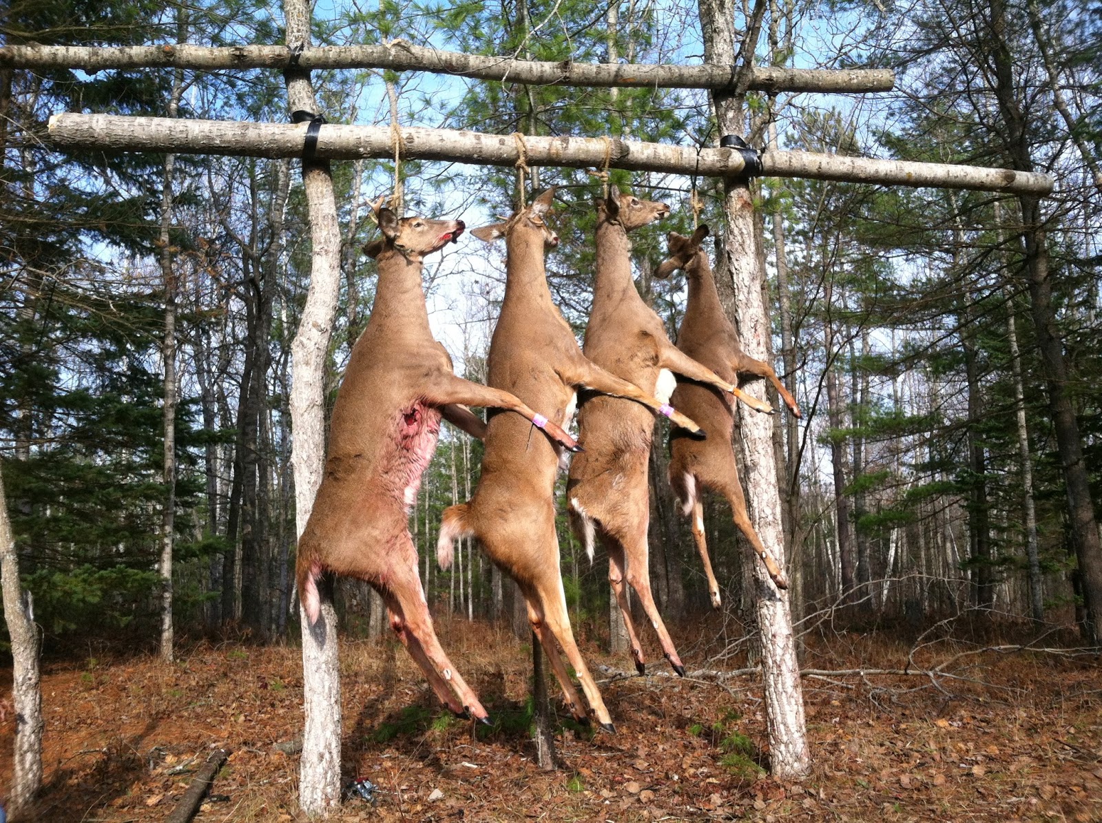 The High Cost of this Low Living 2013 Deer Camp