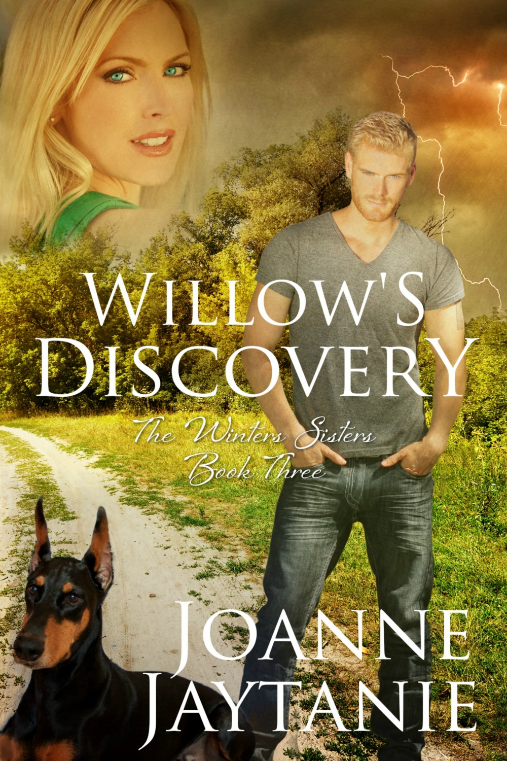 Willow's Discovery, The Winters Sisters, Book Three