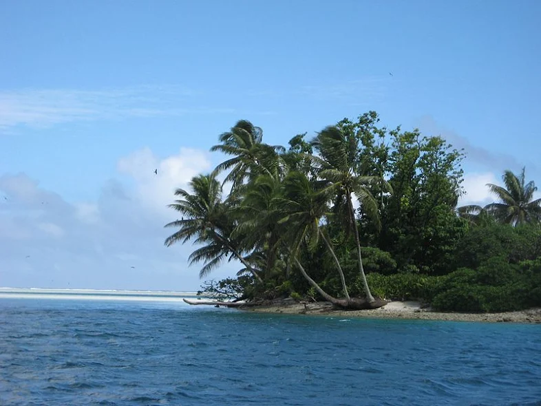 Sebuah pulau tropis dengan daun palem yang berorientasi ke arah angin yang ada.