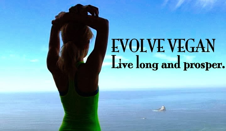 Evolve Vegan