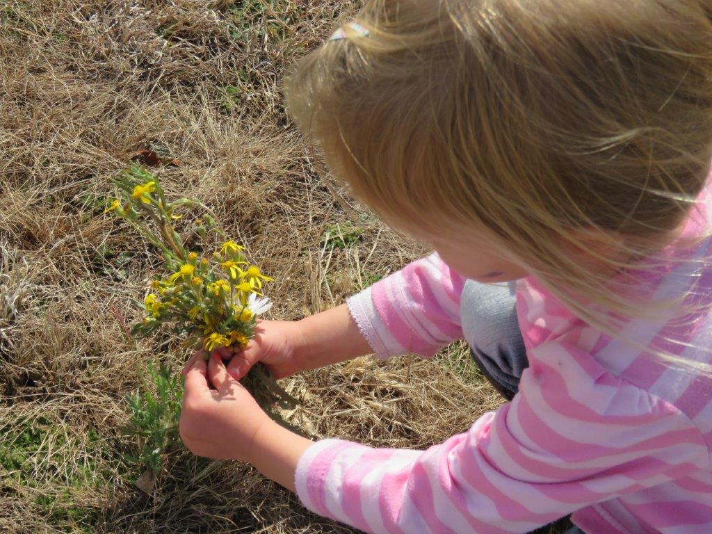 memorable meanders MidJuly Saturday Critters