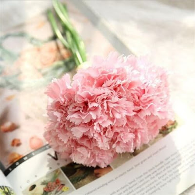 Bunga Plastik / Bunga Artificial Carnation (Seri D11) Bunga Plastik / Bunga Artificial Carnation (Seri D11)