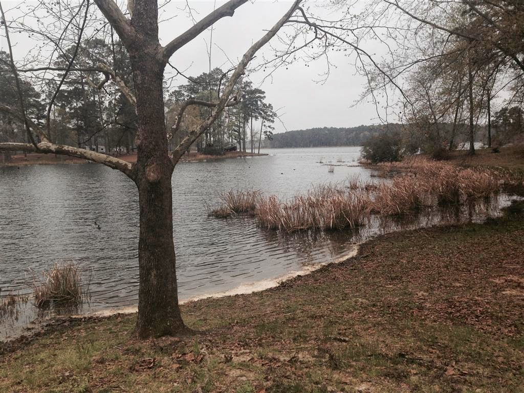 CAJUN CRAWL with us as we experience the food, music