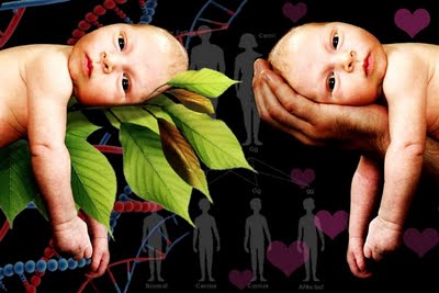 Childhood Obesity Nature Vs Nurture Childhood Obesity Nature Vs Nurture