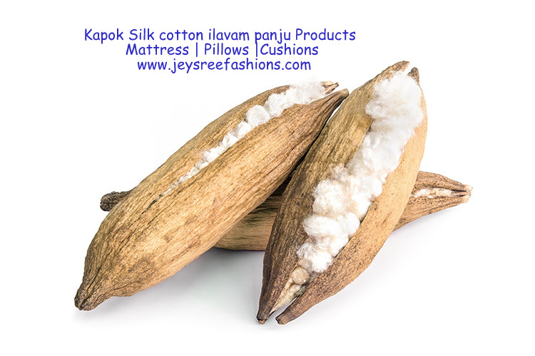 Benefits of natural Kapok Silk cotton Ilavam Panju mattress pillows