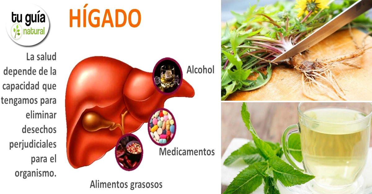 Alimentos que provocan higado graso