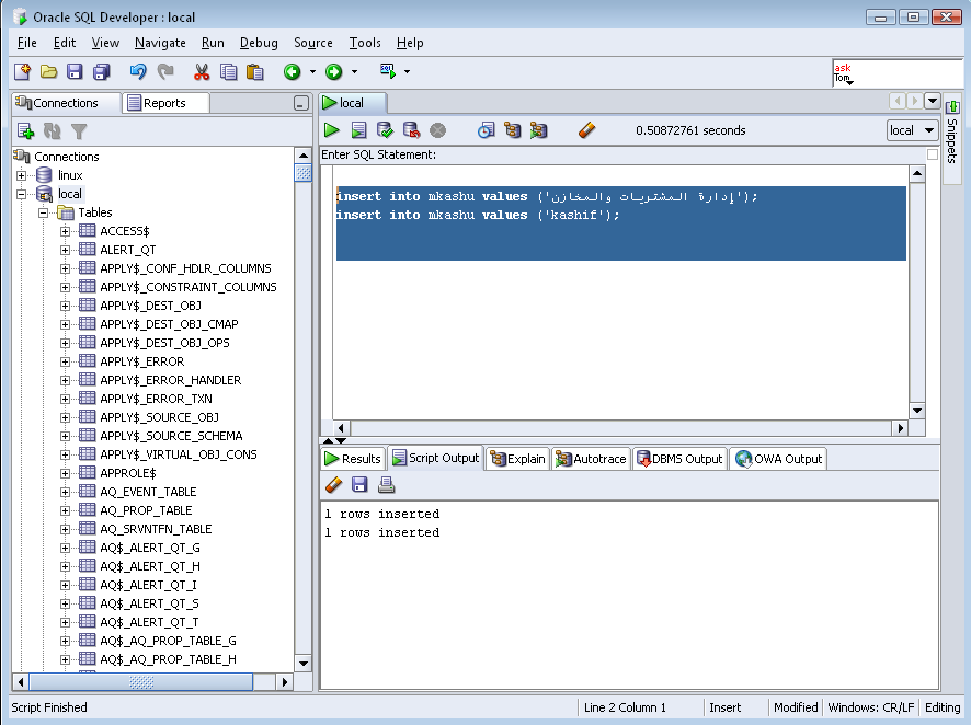 how to insert arabic data in oracle ~ Datawarehouse Architect