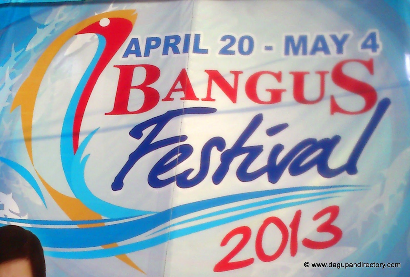 Dagupan City Bangus Festival 2013