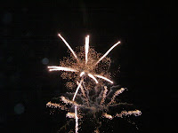 cosham municipal firework display