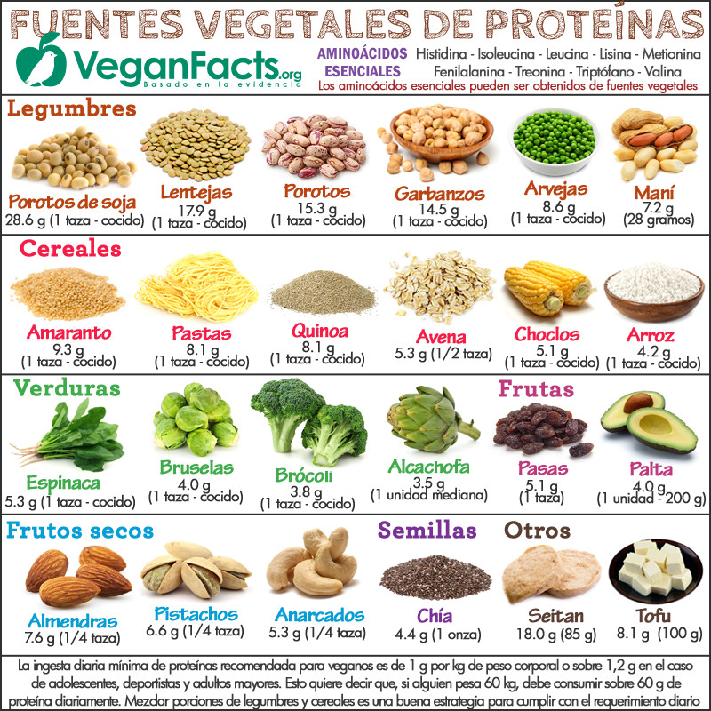 ejemplos de proteinas alimentos
