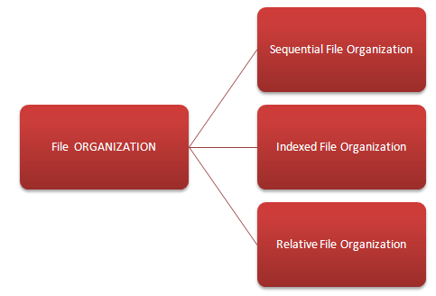 COBOL File Organization.