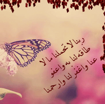655de45a5a60a2aed8cd6e186642eea6