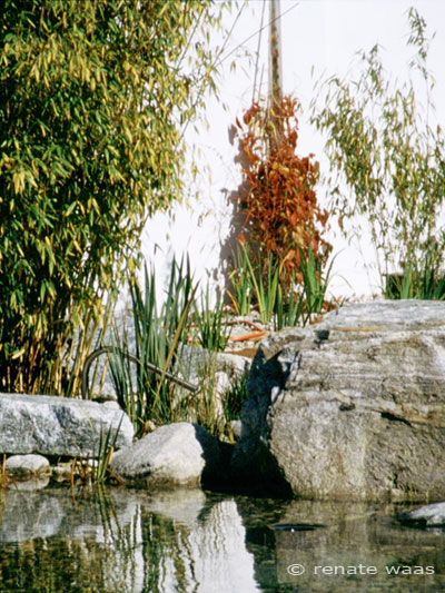 Gartenblog Geniesser Garten Gartenteich Teichrand Ideen Und Technik