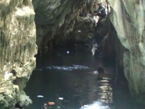 goa moko
