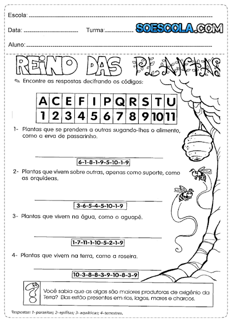 Atividade de Ciências 3° ano sobre Plantas Atividade de Ciências 3° ano sobre Plantas