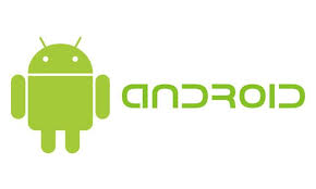 Cerita Sukses Sosok Dibalik Penemu Sistem Operasi Android - Andy Rubin 