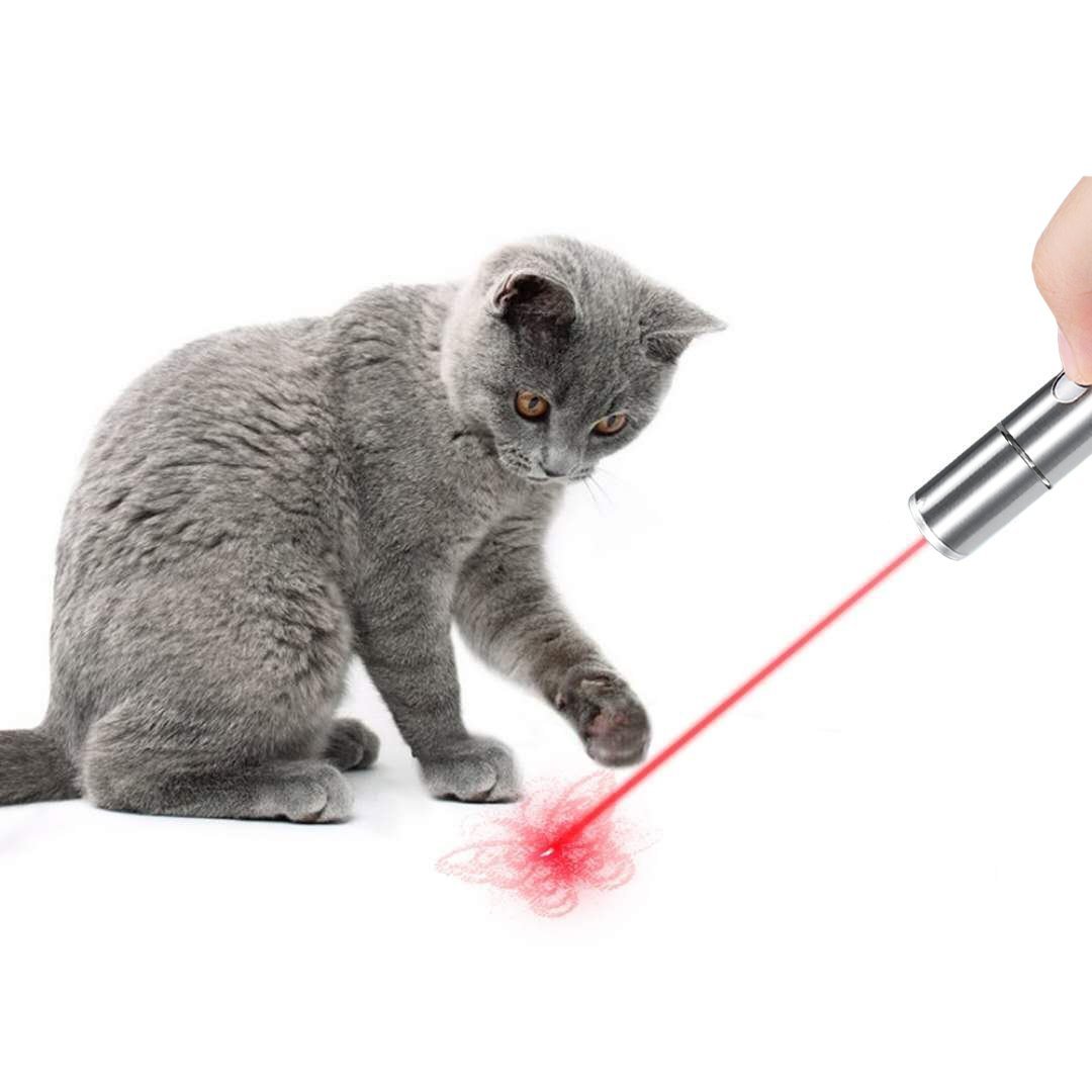 Кошка играет указкой. Указка для кошек. Кошачий лазер. Котик и лазерная указка. Лазер для животных.