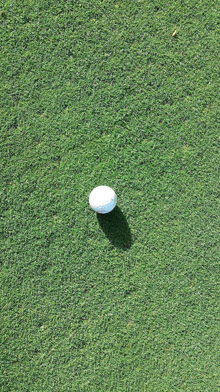 This Wolf Creek Golf Hazard Will Ruin Your Swing Forever You Never Left Again