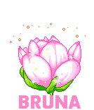 bruna_006.gif