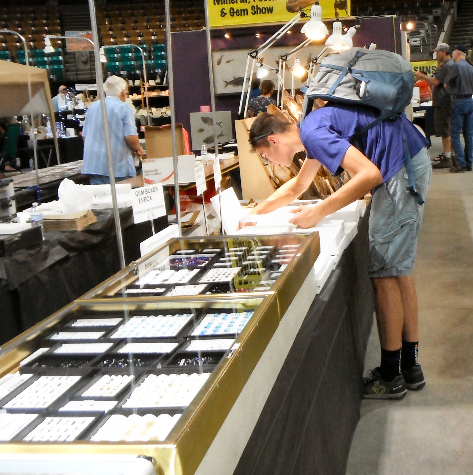 Rockhounding the Rockies Rock Hounding the Denver Mineral Show 2017