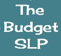 The Budget SLP