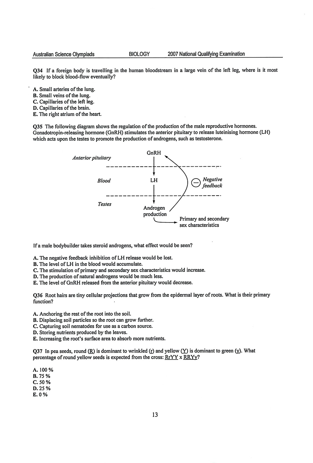 C.I.B. Barbara McClintock Research & Development INTERNATIONAL BIOLOGY
