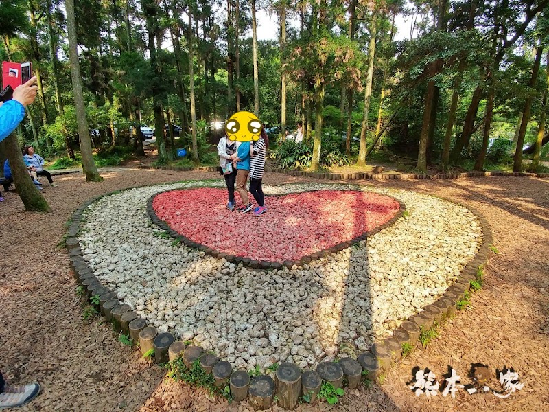 竹子湖黑森林(小溪頭)|陽明山婚紗熱門拍攝景點|仿如童話森林場景