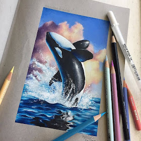 01-Orca-Whale-Keelee-www-designstack-co