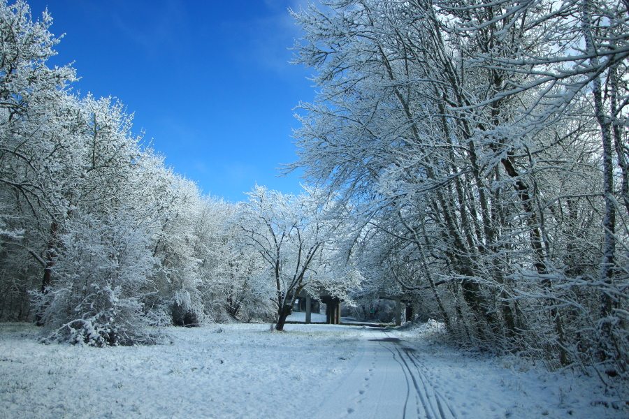 Ethan Erickson Photography: Snow In Corvallis