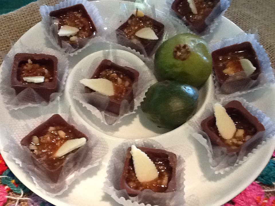 ROTA DO CAMBUCI RECEITAS COM A CHEF. ANA TOMAZONI