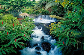 cascadas-y-selva-tropical-en-costa-rica