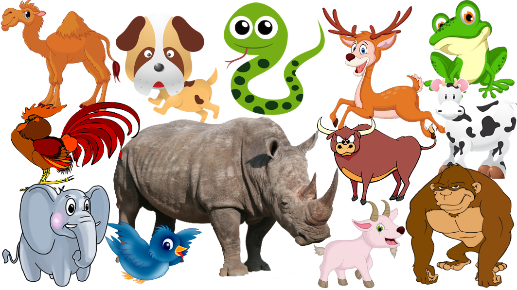 Learn Wild Animals For Kids, Wild Zoo Animals Names and Sounds for  Children