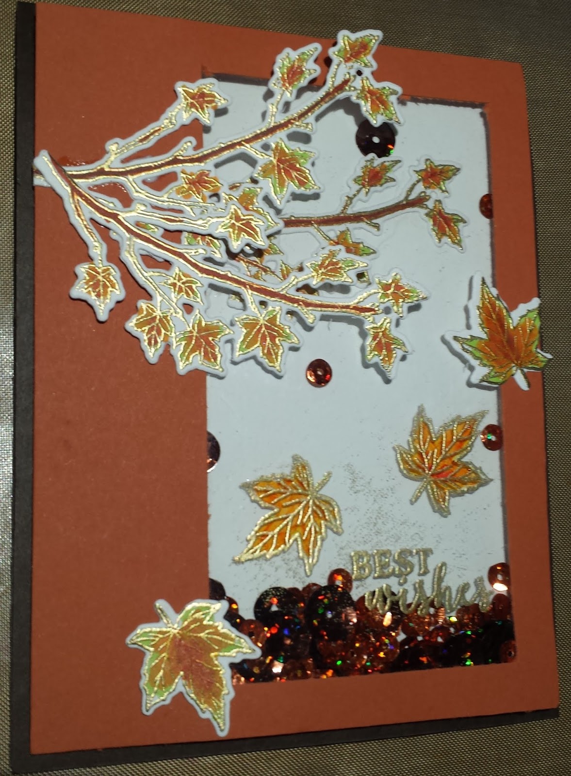 Fall Shaker card and embossing on acetate