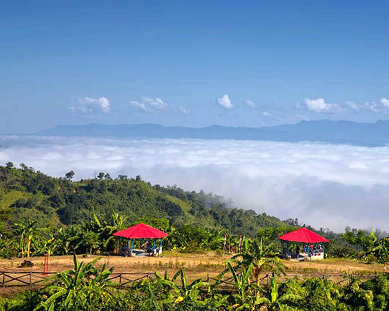Sajek ValleyBagaichori, RangamatiPicnic & Resort Spot Picnic Spot